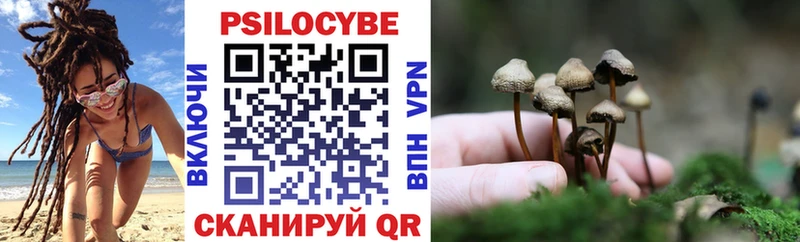 где можно купить   Котельники  Галлюциногенные грибы мицелий 